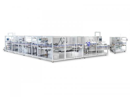  Blister Packing And Automatic Cartoning Production